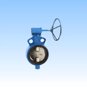 CI Butterfly Valve With SS Disc – Gear Operated
