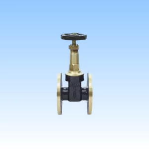 Female Ends Gate Valve (Class – 1)