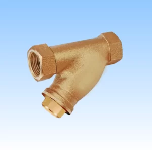 GM Y Type Strainer F_E