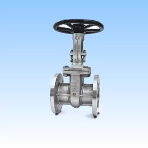 Gate Valve