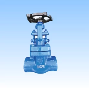 Globe Valve