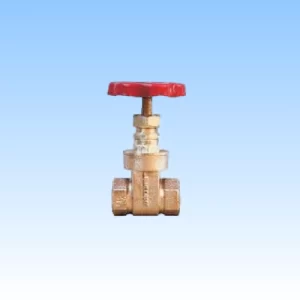 Screwed Female Ends Gate Valve (Class – 1)