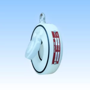 Swing Check Valve