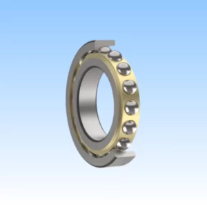 Angular Ball Bearings