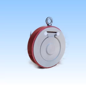 Lined Swing Check Valve