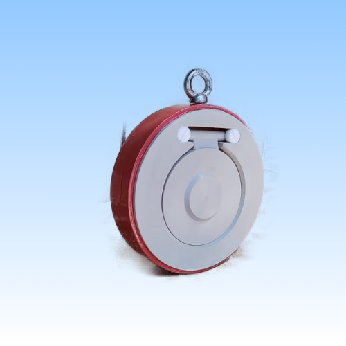 Lined Swing Check Valve