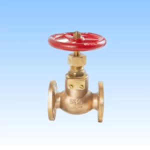 Screw Down Check Globe Valve