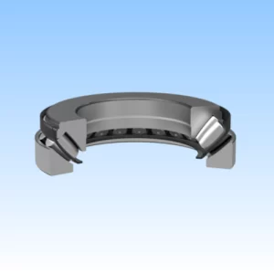 Thrust Bearing